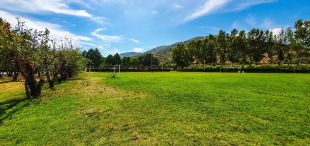 Terrain de sport herbe